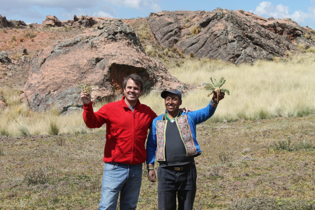 Color Andina colaboradores